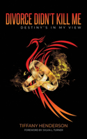 Divorce Didn't Kill Me; Destiny's in My View