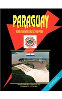 Paraguay Business Intelligence Report