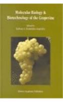 Molecular Biology and Biotechnology of Grapevine