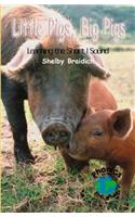 Little Pigs, Big Pigs