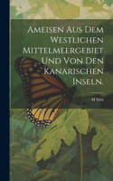 Ameisen aus dem Westlichen Mittelmeergebiet und von den Kanarischen Inseln.