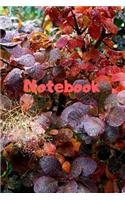 Notebook: Notebook / Diary With Colored Cover - Wide Ruled Line Paper