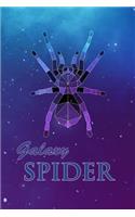 Galaxy Spider