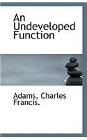 An Undeveloped Function