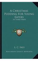 Christmas Pudding for Young Eaters