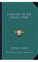 Mating in the Wilds (1920)