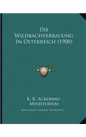 Die Wildbachverbauung In Osterreich (1900)