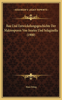 Bau Und Entwickelungsgeschichte Der Makrosporen Von Isoetes Und Selaginella (1900)