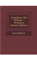 Anatomie Der Pflanze: (German)