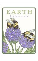 Bumblebees: Earth Forever (Unboxed)