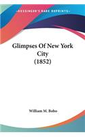 Glimpses Of New York City (1852)