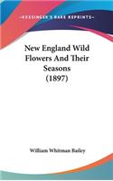 New England Wild Flowers And Their Seasons (1897)