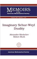 Imaginary Schur-Weyl Duality