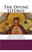 Divine Liturgy: Joy of All Who Sorrow Christian Orthodox Church