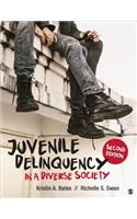 Juvenile Delinquency in a Diverse Society