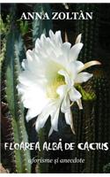 Floarea Alba de Cactus