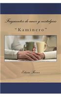 Fragmentos de Amor Y Nostalgias