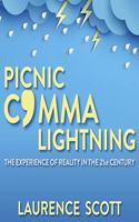 Picnic Comma Lightning Lib/E: The Experience of Reality in the Twenty-First Century