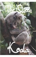 The Queen Koala