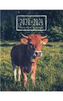 Two Year Planner 2020-2021: Cow Planner January 1, 2020 to December 31, 2021 Weekly & Monthly Planner + Calendar Views Animal 2 Year Calendar 24 Month Agenda Planner Cow Lovers
