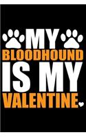My Bloodhound Is My Valentine
