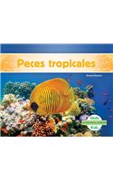 Peces Tropicales (Tropical Fish)