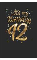 It's My Birthday 12: Dotted Bullet Notebook (6" x 9" - 120 pages) Birthday Themed Notebook for Daily Journal, Diary, and Gift