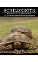 Schildkröte: Faszinierende Schildkröte Fakten für Kinder mit atemberaubenden Bildern!