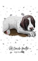 Old Danish Pointer 2020 Planner