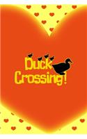 Duck Crossing!