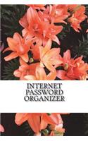 Internet Password Organizer: Internet Password book, This password keeper book Size 6x8 inches, 120 pages Big column for recording. This password keeper lets you create unique a