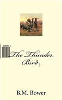 The Thunder Bird