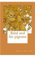 Balal and his pigeons