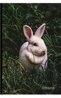 Journal Pages: Rabbit Run (Unruled), 6" x 9", Classic Notebook- Unlined Plain Journal, for Notes, sketches, 100 Pages (Durable Cover)