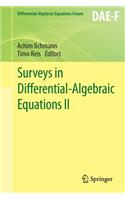 Surveys in Differential-Algebraic Equations II