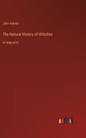 Natural History of Wiltshire: in large print