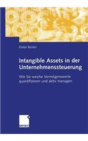 Intangible Assets in Der Unternehmenssteuerung