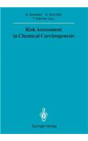 Risk Assessment in Chemical Carcinogenesis