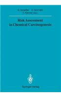 Risk Assessment in Chemical Carcinogenesis