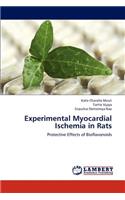 Experimental Myocardial Ischemia in Rats