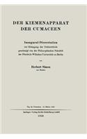 Der Kiemenapparat der Cumaceen