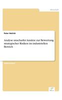 Analyse unscharfer Ansätze zur Bewertung strategischer Risiken im industriellen Bereich: (German)