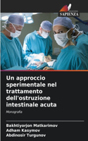 approccio sperimentale nel trattamento dell'ostruzione intestinale acuta