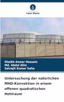 Untersuchung der natürlichen MHD-Konvektion in einem offenen quadratischen Hohlraum