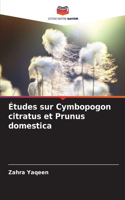 Études sur Cymbopogon citratus et Prunus domestica