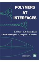 Polymers at Interfaces