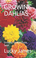 Growing Dahlias