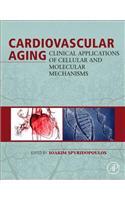 Cardiovascular Aging