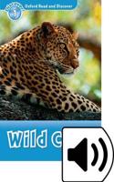 Oxford Read and Discover: Level 1: Wild Cats Audio Pack: (Oxford Read and Discover)