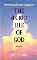 The Secret Life of God